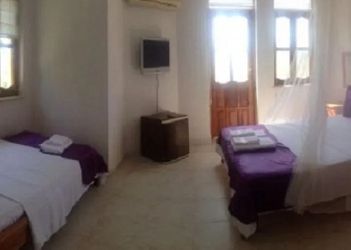 Klas 3* 올루데니스